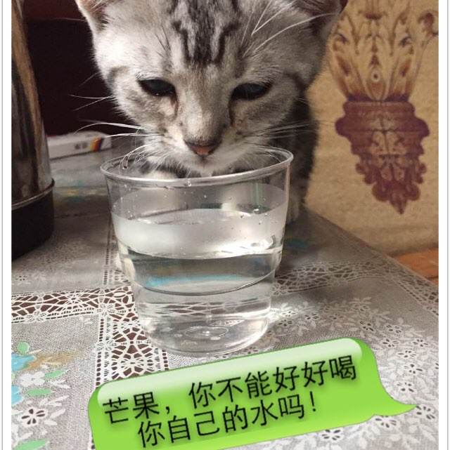 房产证上去掉子女名字